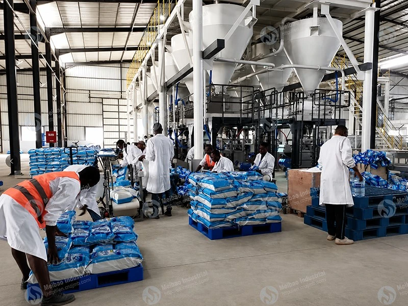 Packaging site showing the overall working environment Packaging site showing the overall working environment