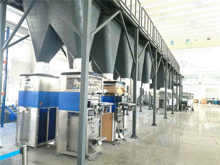 Post-Blending Detergent Powder Production Line factory